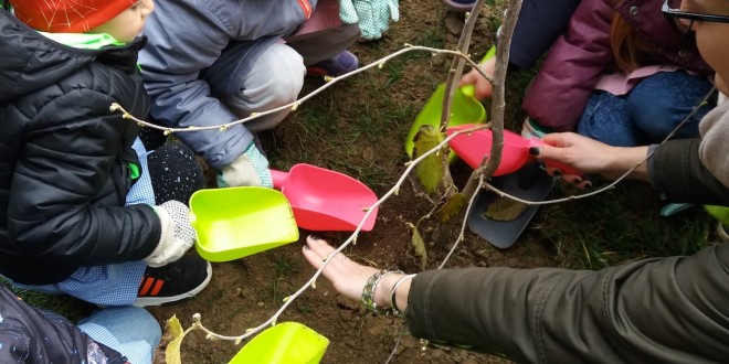 A Perugia la Festa dell’albero dedicata allo scoiattolo rosso
