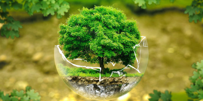 Omaggio in versi all’ambiente