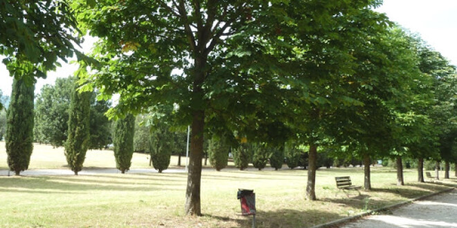 L’associazione “Natura Urbana” chiama a raccolta la popolazione per rendere più vivibile il parco Chico Mendez